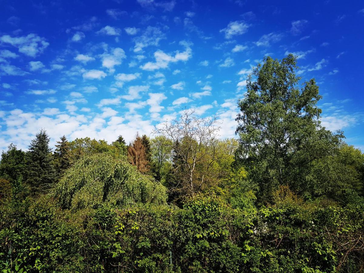Chalet "Waldhauszeit" Am See Mücke Exteriör bild